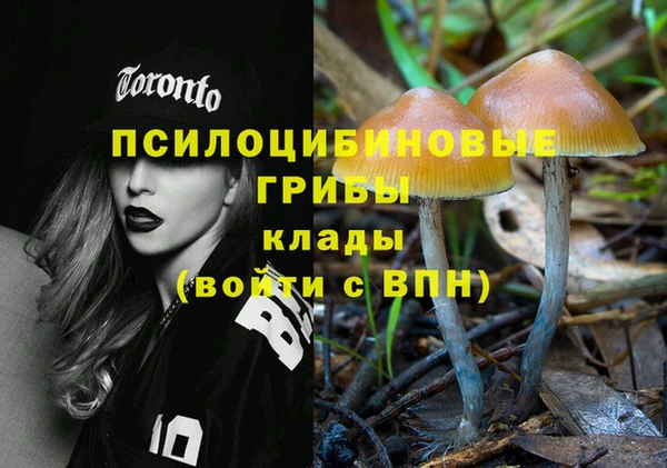 Альфа ПВП Лабытнанги