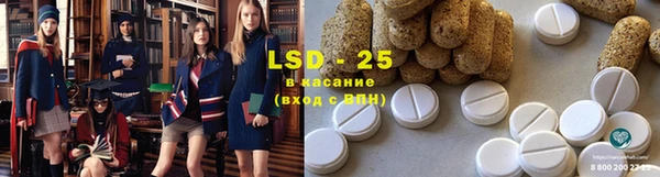 прущие грибы Куйбышев