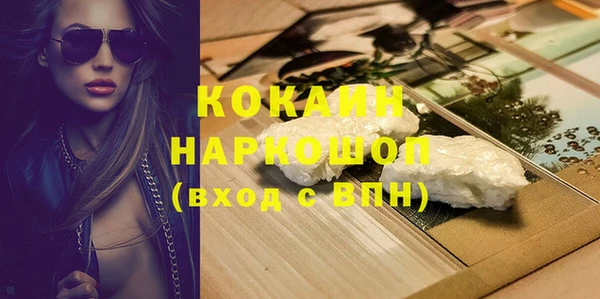 прущие грибы Куйбышев