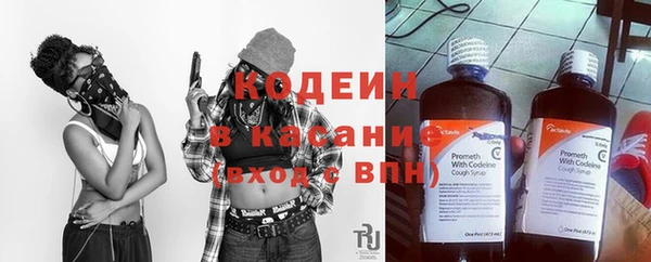 прущие грибы Куйбышев
